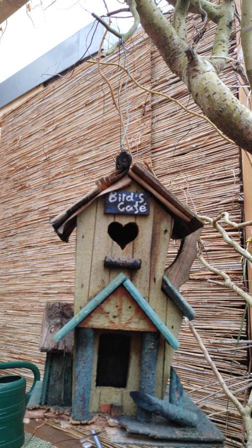Fewo Bei Tati - Bungalow Singen Exterior foto